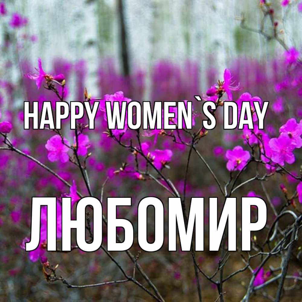 Greetings card с именем, Любомир happy women`s day дикие цветы Greetings with text for free download 